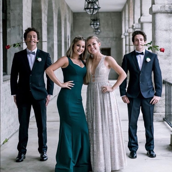 Dillard’s Sparkly Deep V Prom or Formal Dress - Picture 5 of 5